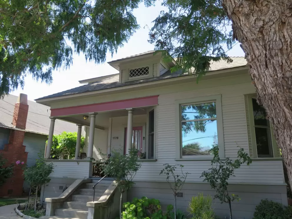 There are many tall, old trees on Leff Street. 