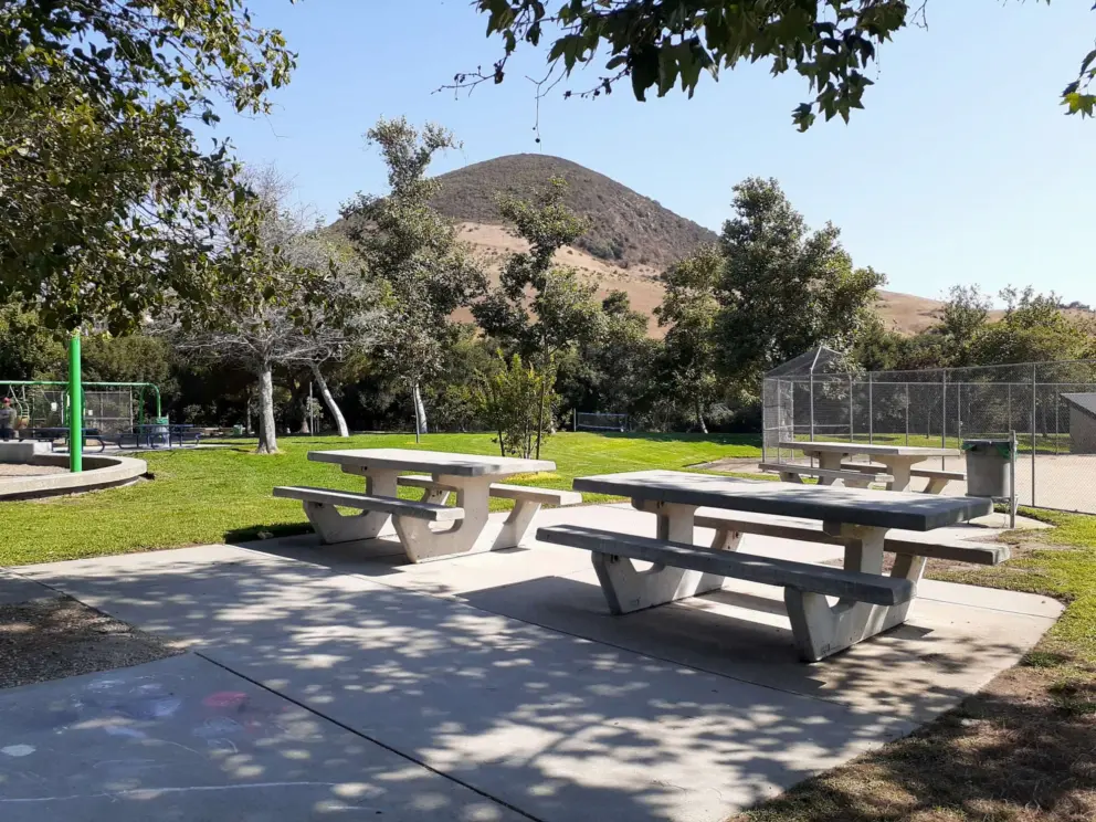 Picnic tables with view of Islay Hill. 