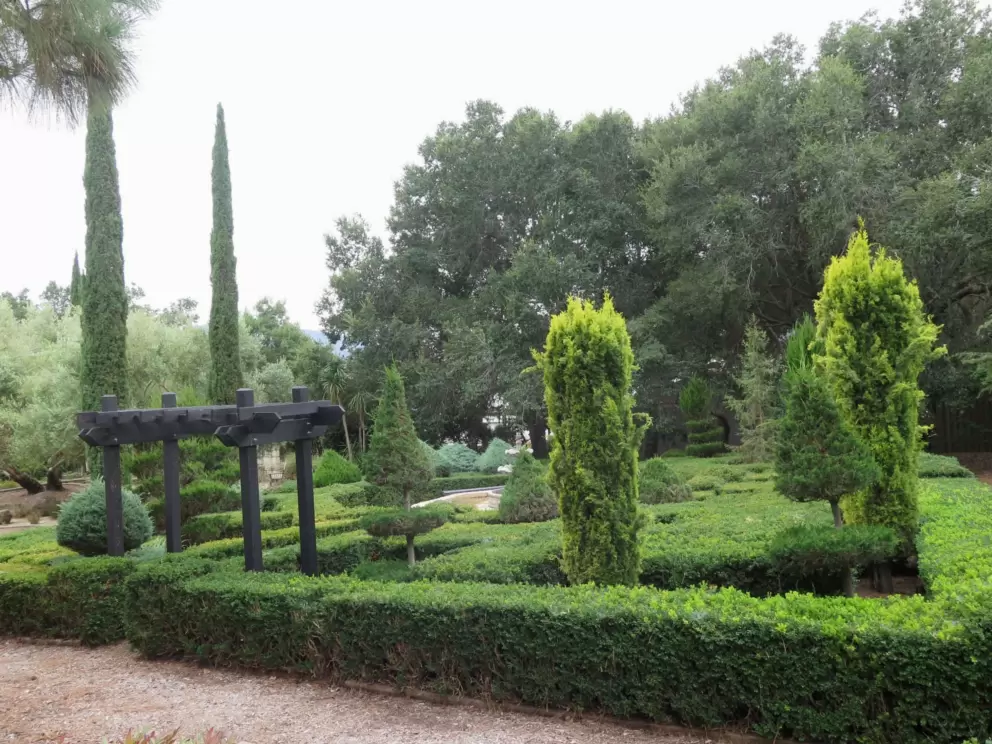 The lush maze. 