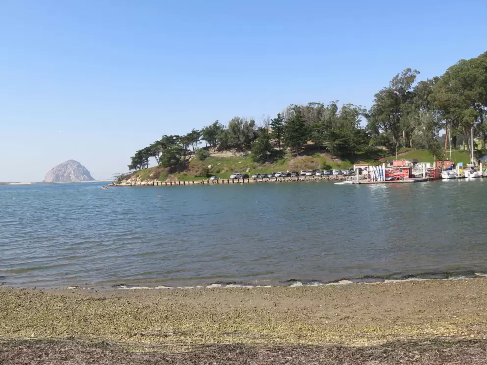 Little waves on the shore, and the peninsula with the Museum of Natural History in the distance. 