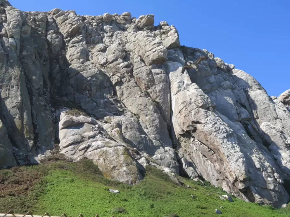 Morro Rock is magnificent. 