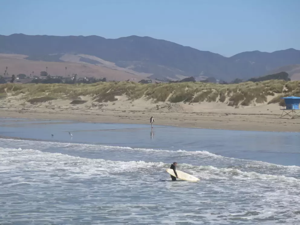 Surfer heading in. 