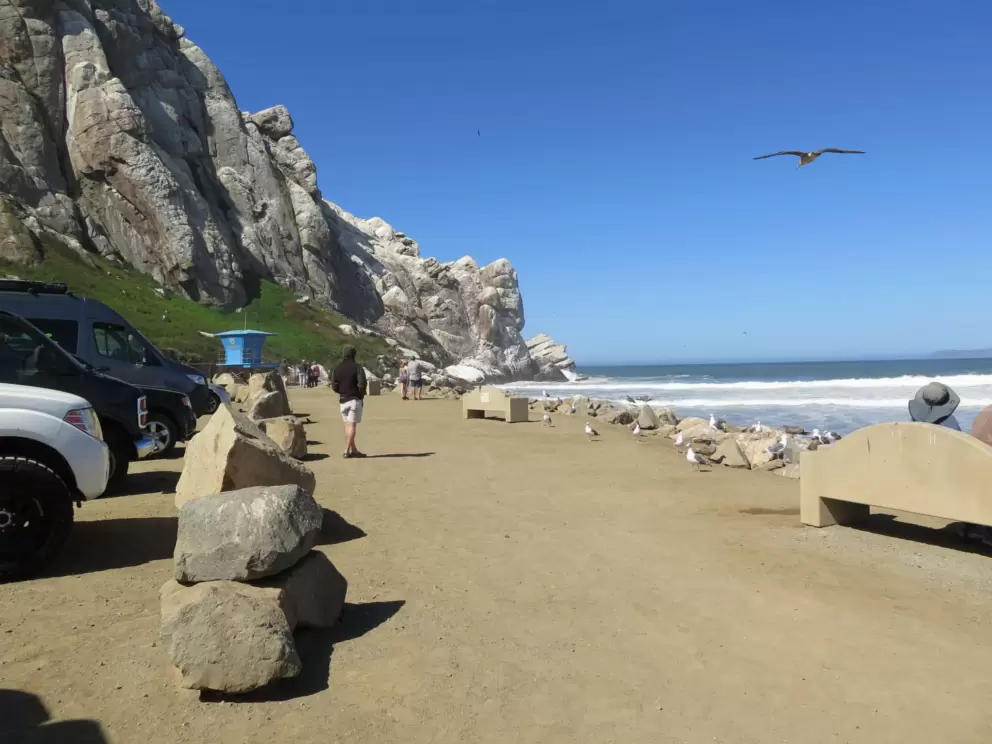 People gather to watch the waves and surfers. 