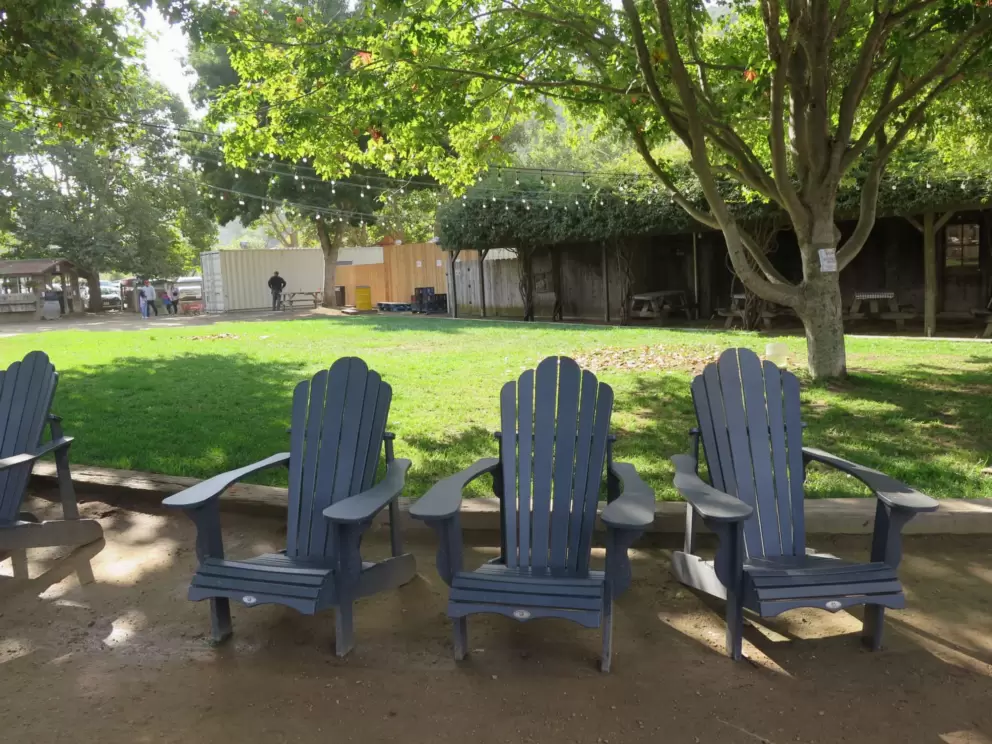 Adirondack chairs and pretty light in the leaves.