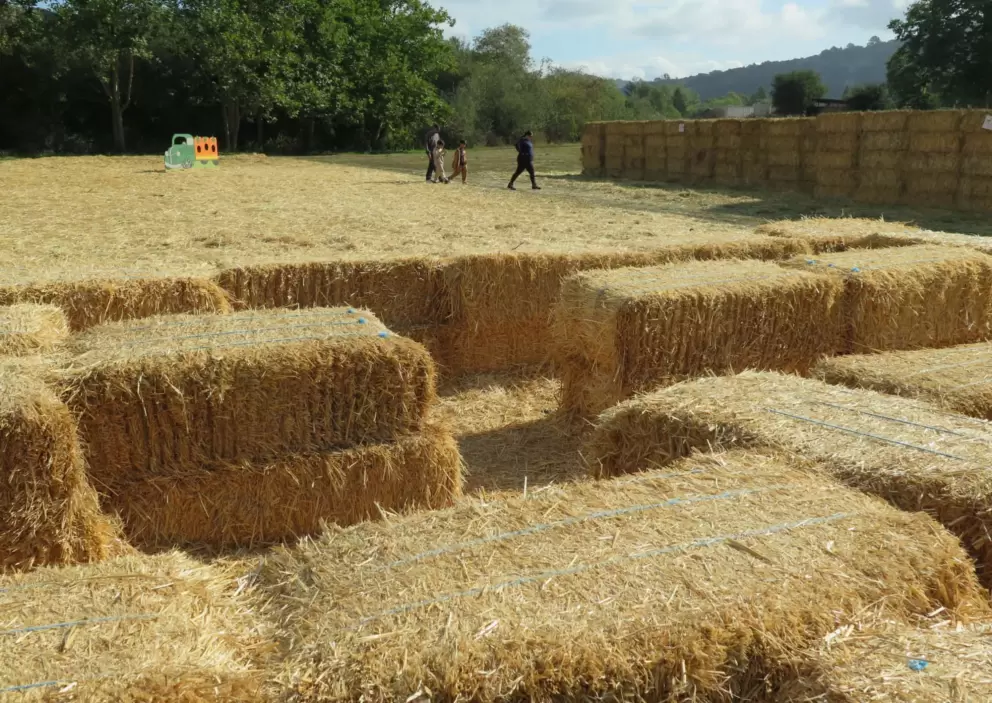 Hay maze. 