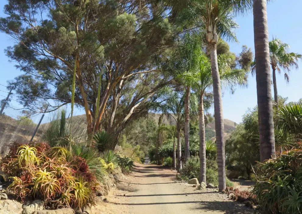 A wide walking path.