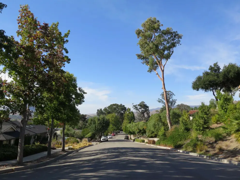 Pretty street nearby. 