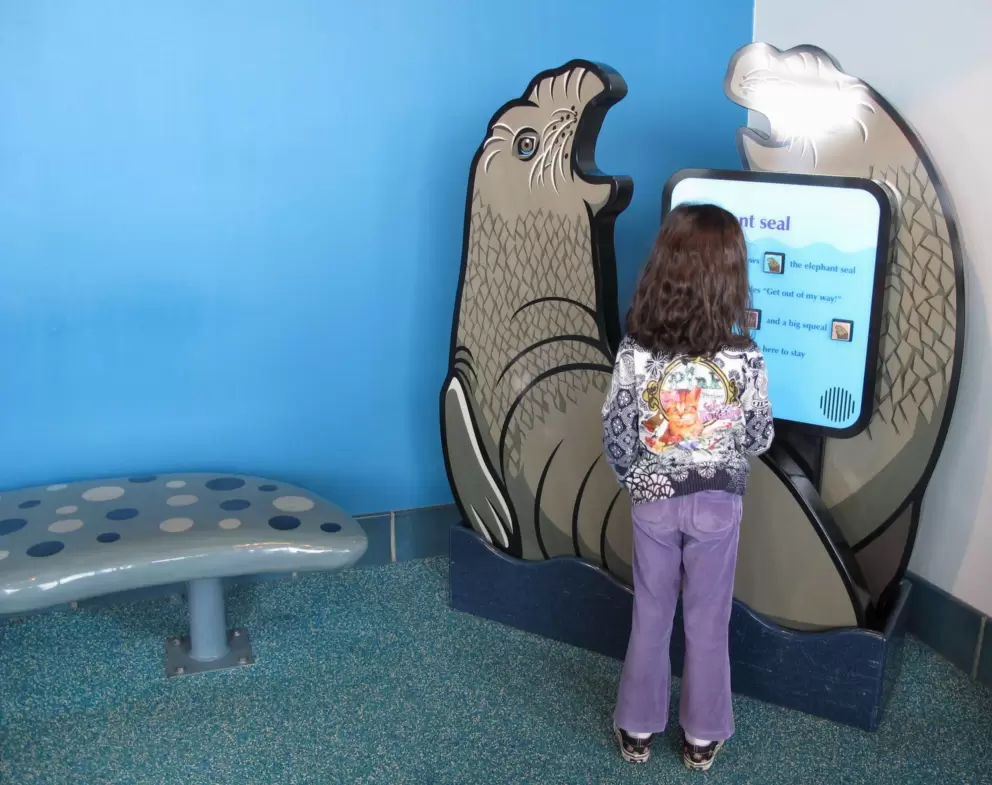 A girl explores the sounds that elephant seals make.