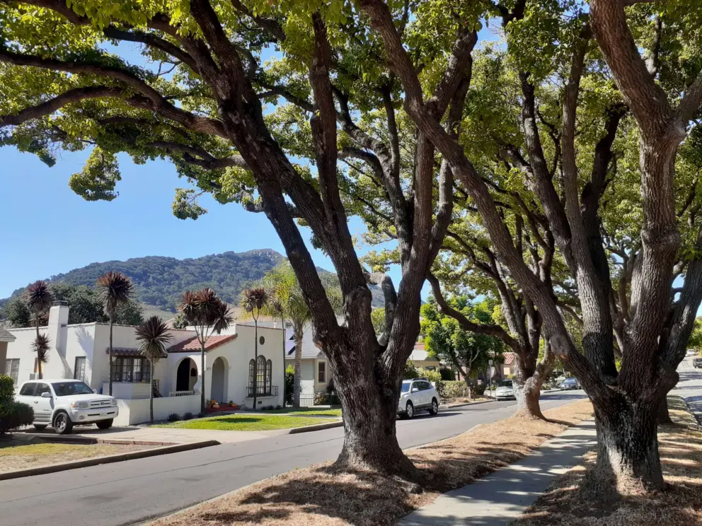 Murray Ave and historic house. 