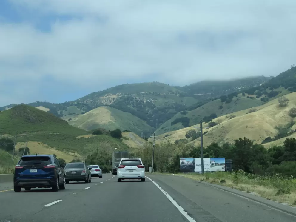 It's lovely as you drive to Atascadero, north on Highway 101.