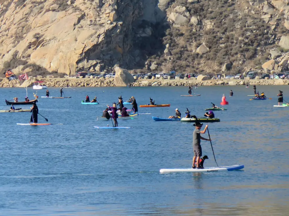 A warlock and his dog on a SUP. 