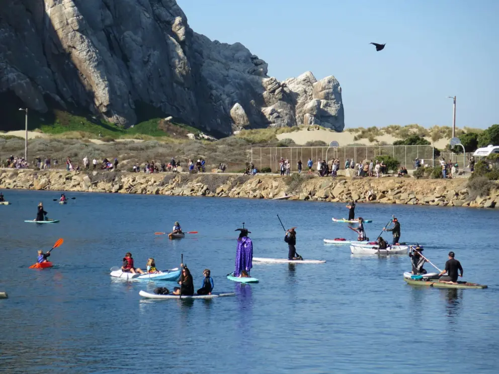 It's fun to watch everyone paddle by. 