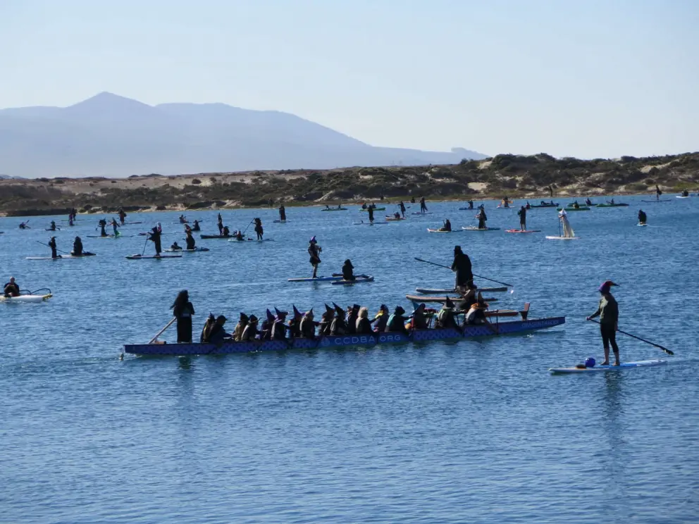 Witches galore in a long canoe. 