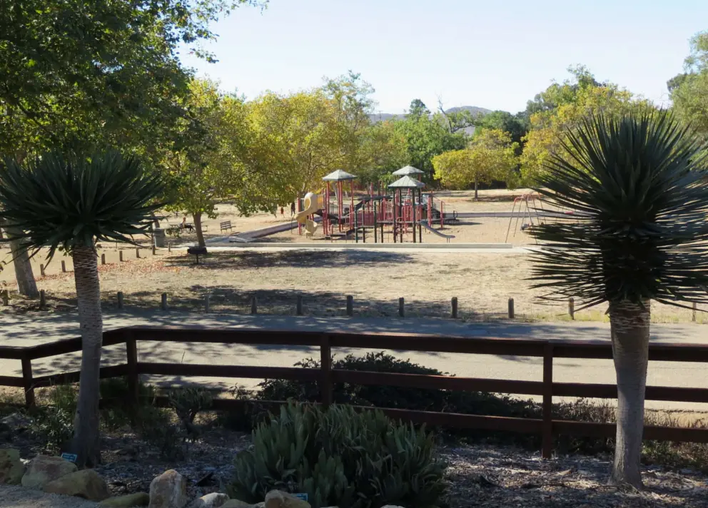 Spiky plants and view of the playground. 