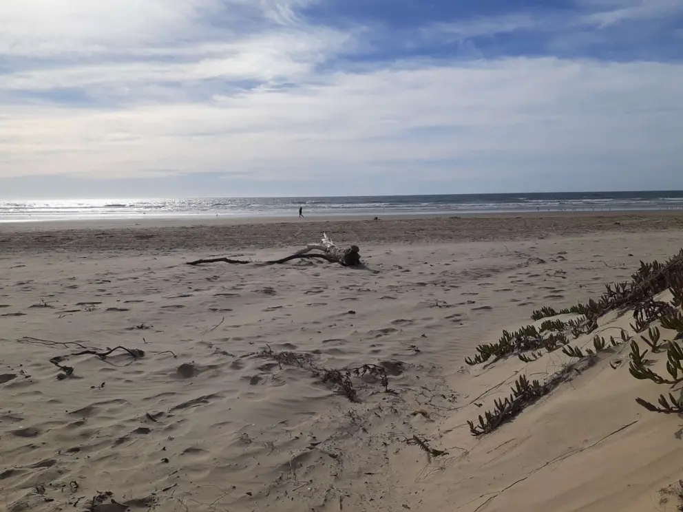 Walking south along the shore. 