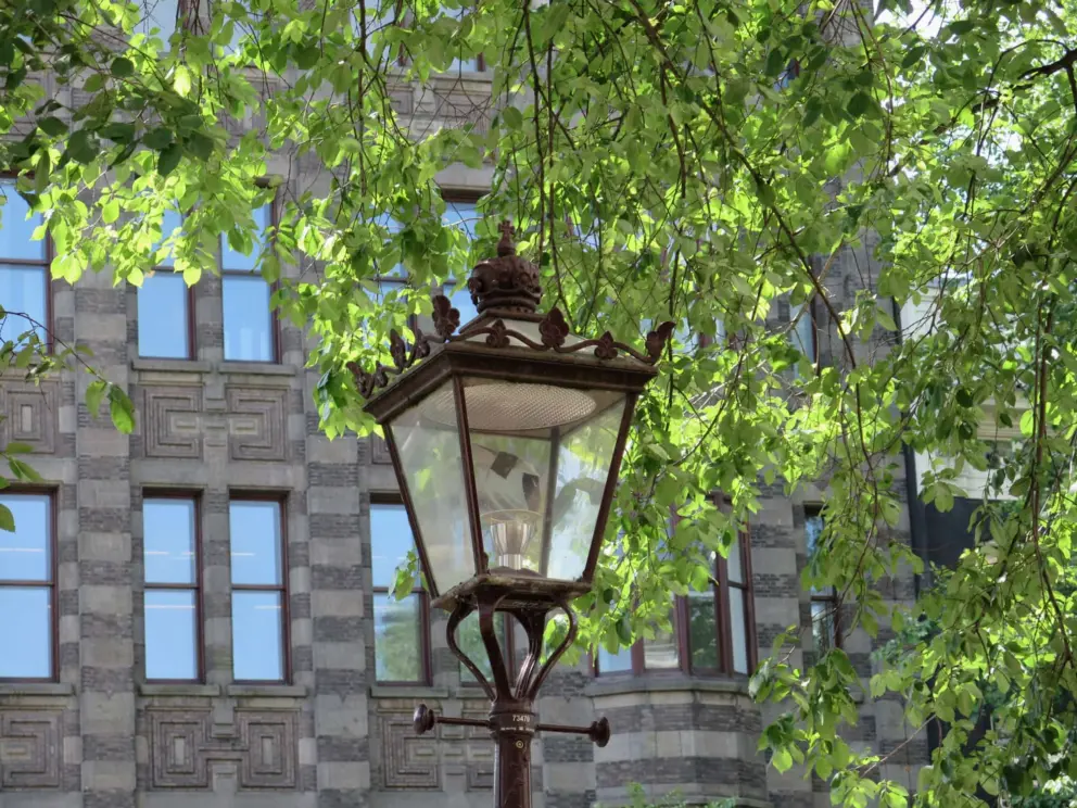 Ironwork lamppost and leaves catching the light, outside Cafe Kramer. 