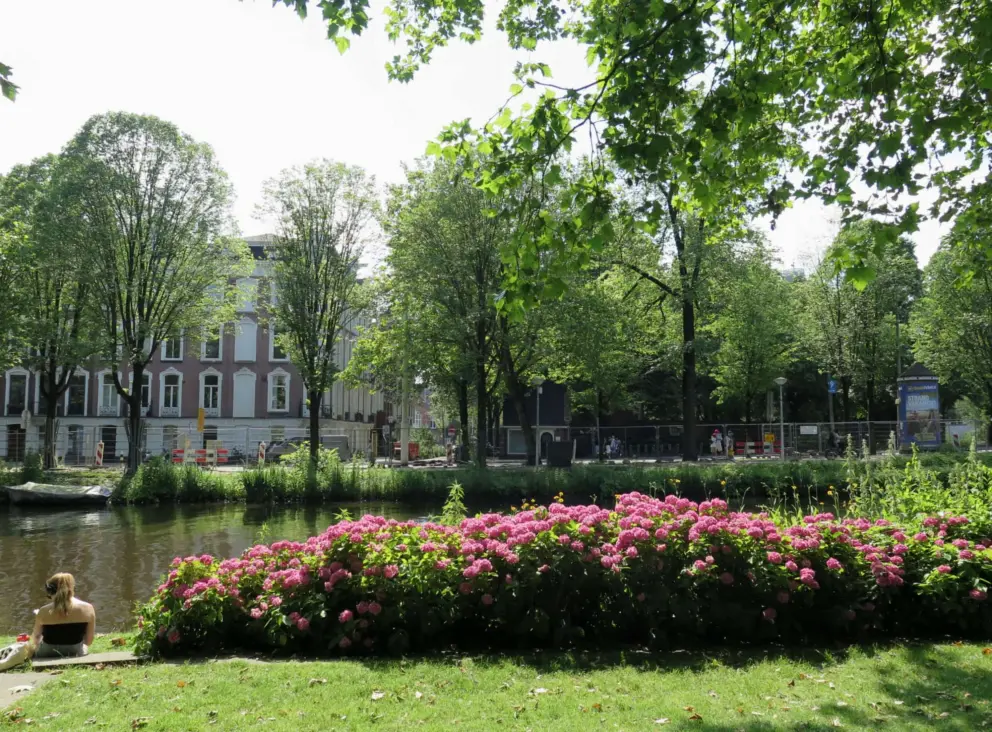 A young woman sits in the sun by flowers. 