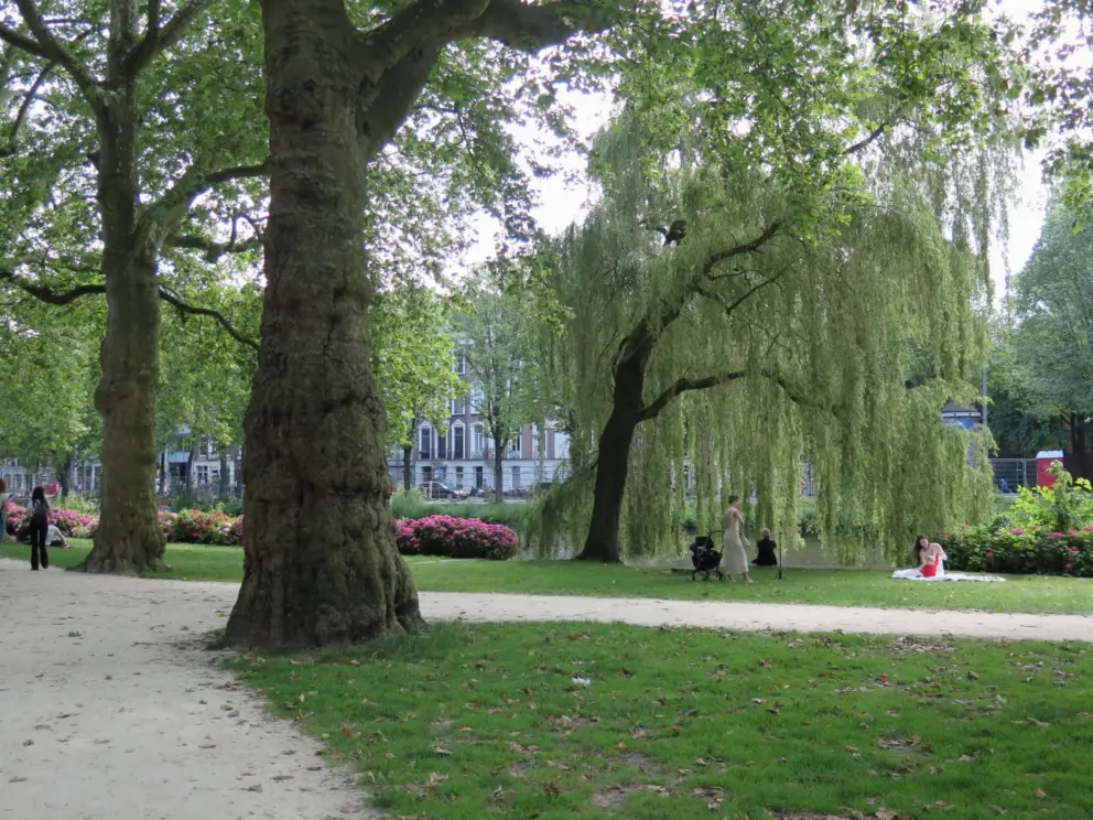 Photo shoot under willow tree.