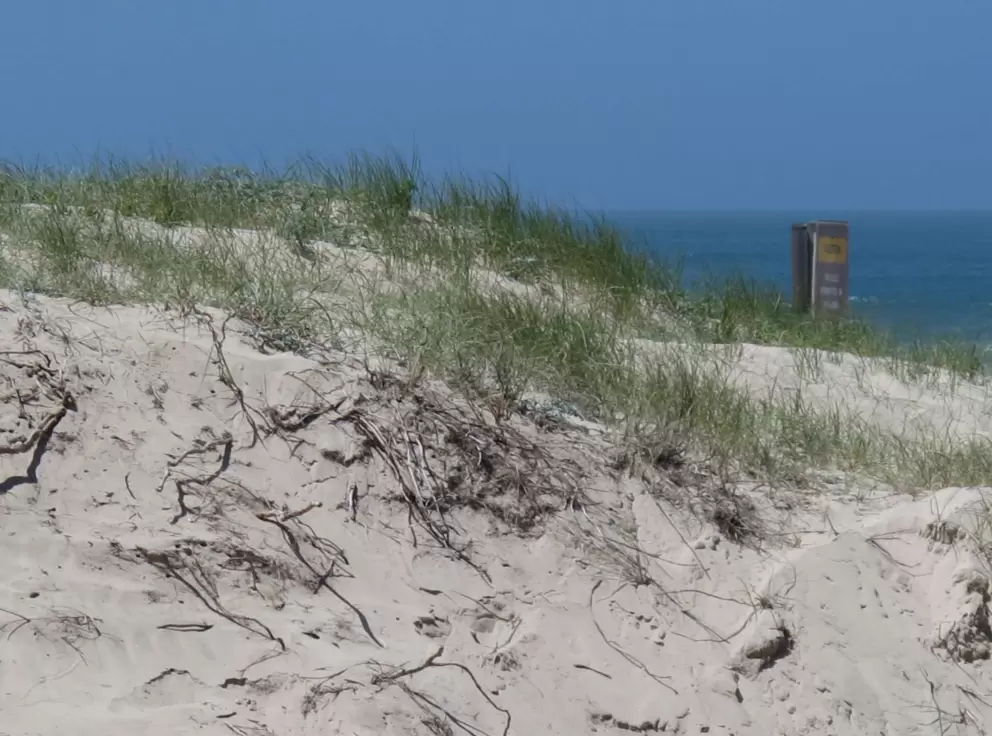 Dunes and sea behind.