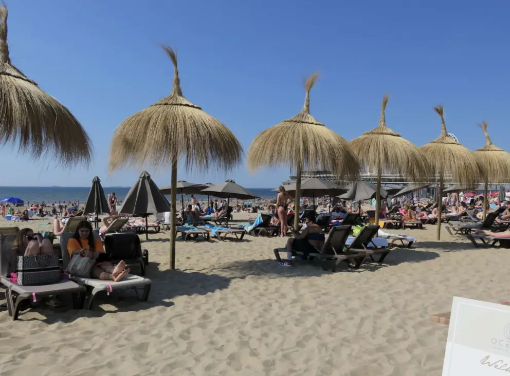 Grass umbrellas in the sand. 