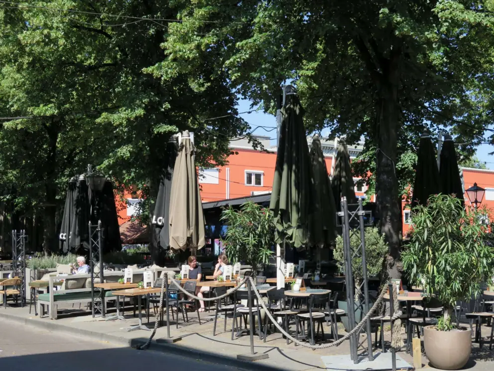 When I returned to Het Plein recently, it seemed more crowded. 