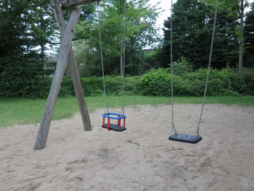 Baby swing and regular swing. 