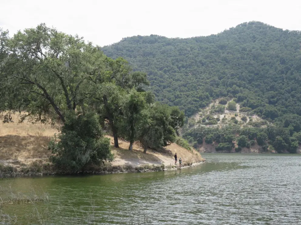 Fishing on the edge of the lake, with views. 