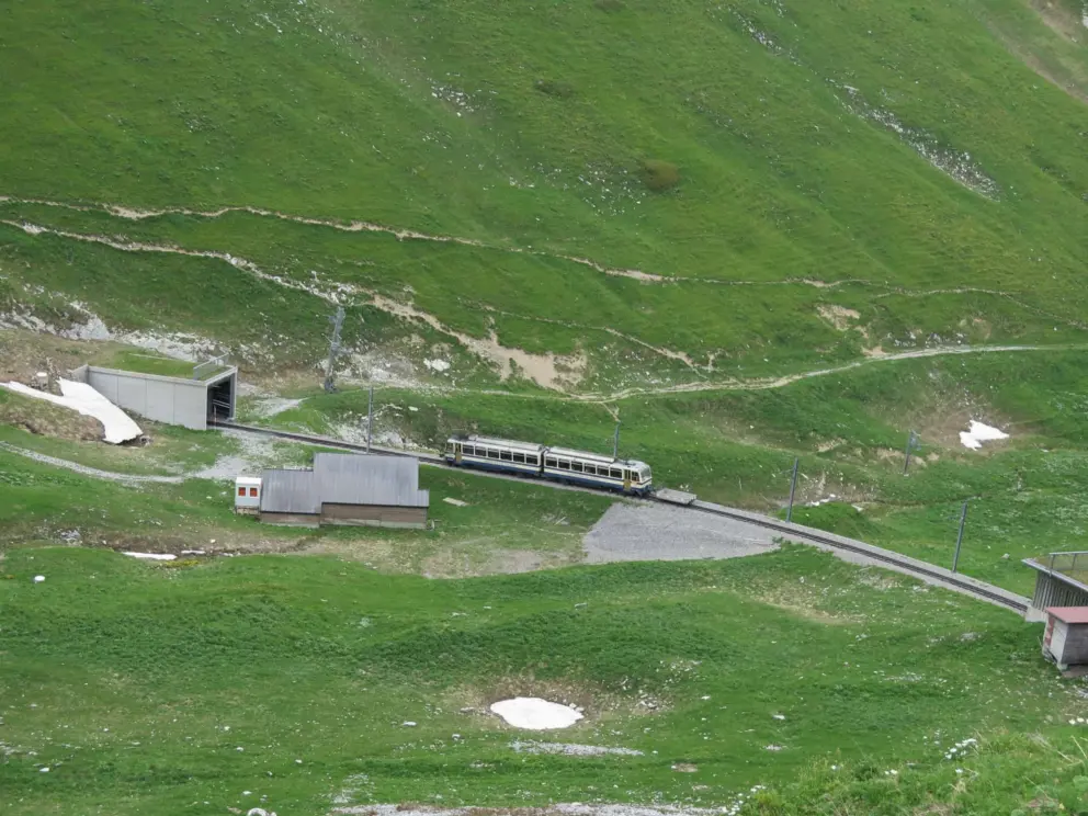The train looks like a toy from a distance. 