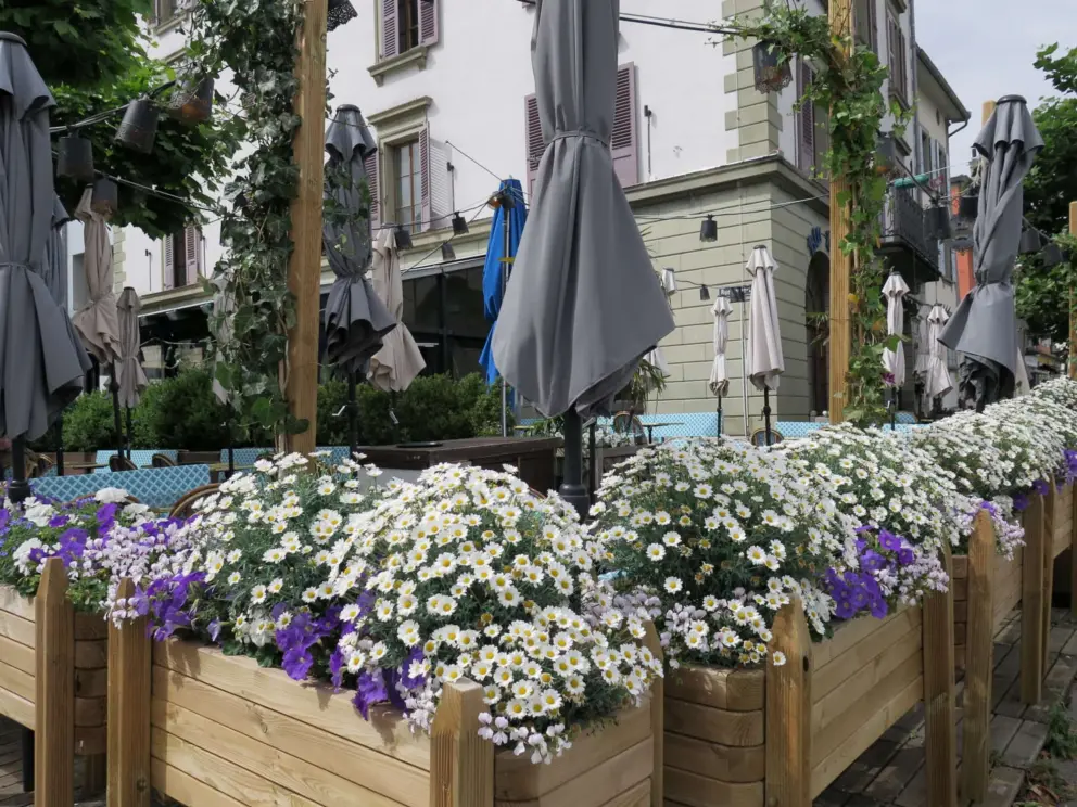 I love these flower baskets. 