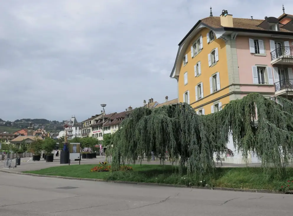 A yellow building and tree, near the parking lot square. 