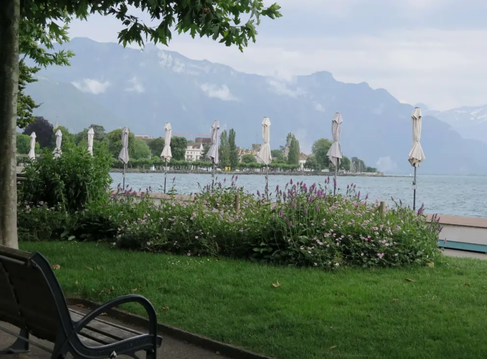 Umbrellas in a row, flowers, and mountain views. 