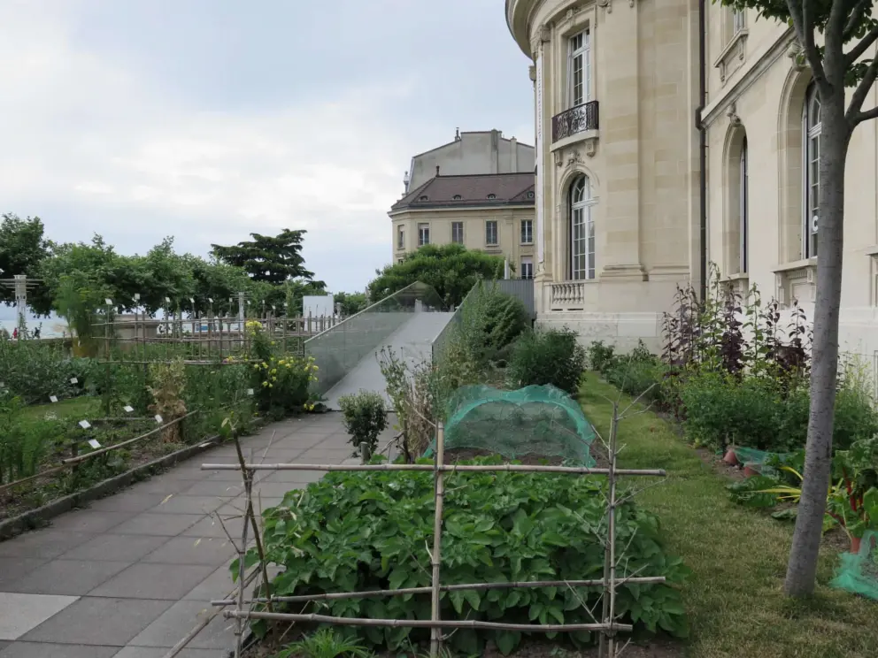 The museum has a vegetable garden that you can walk around for free. 