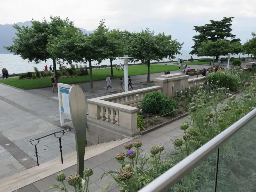 The vegetable garden is right on the waterfront promenade.