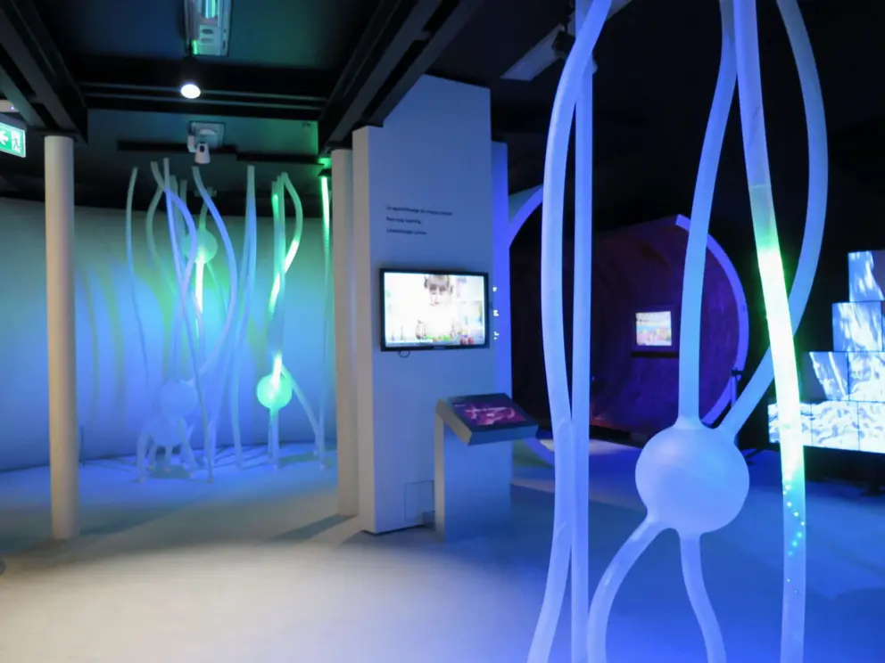 The lights move around to show what happens when you eat. 