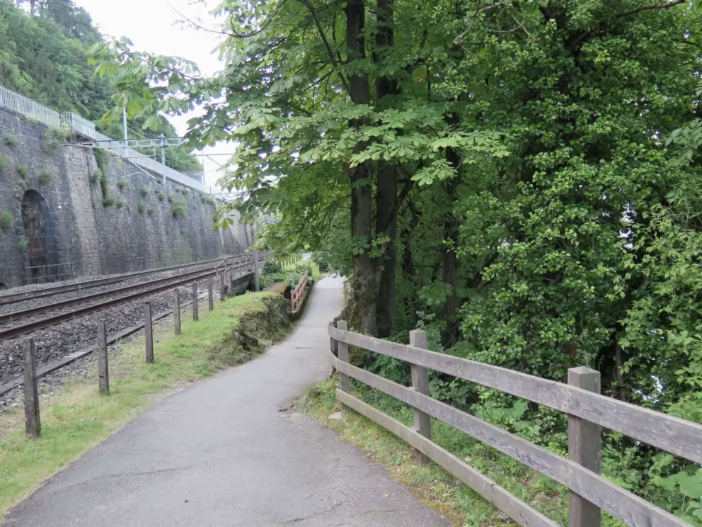 The path near the castle, past forest. 