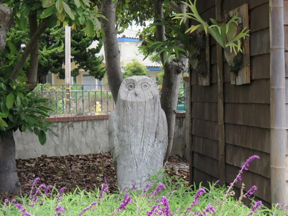 Wooden owl sculpture and blue sage. 