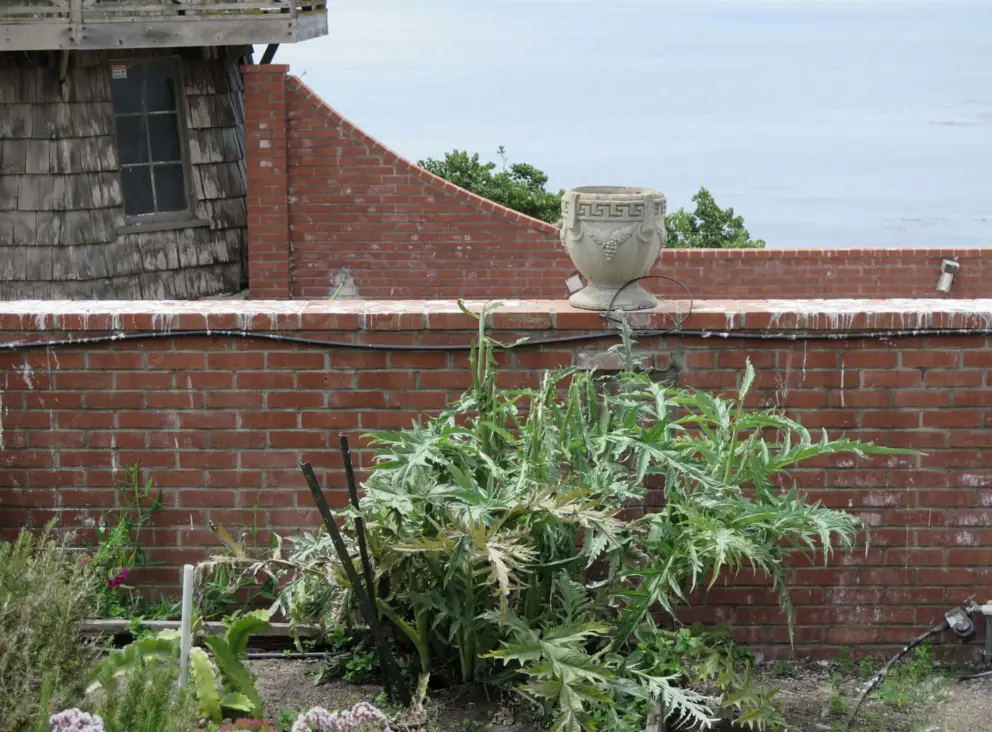 The property could be made a lot nicer and then they could charge for tours inside the house. 