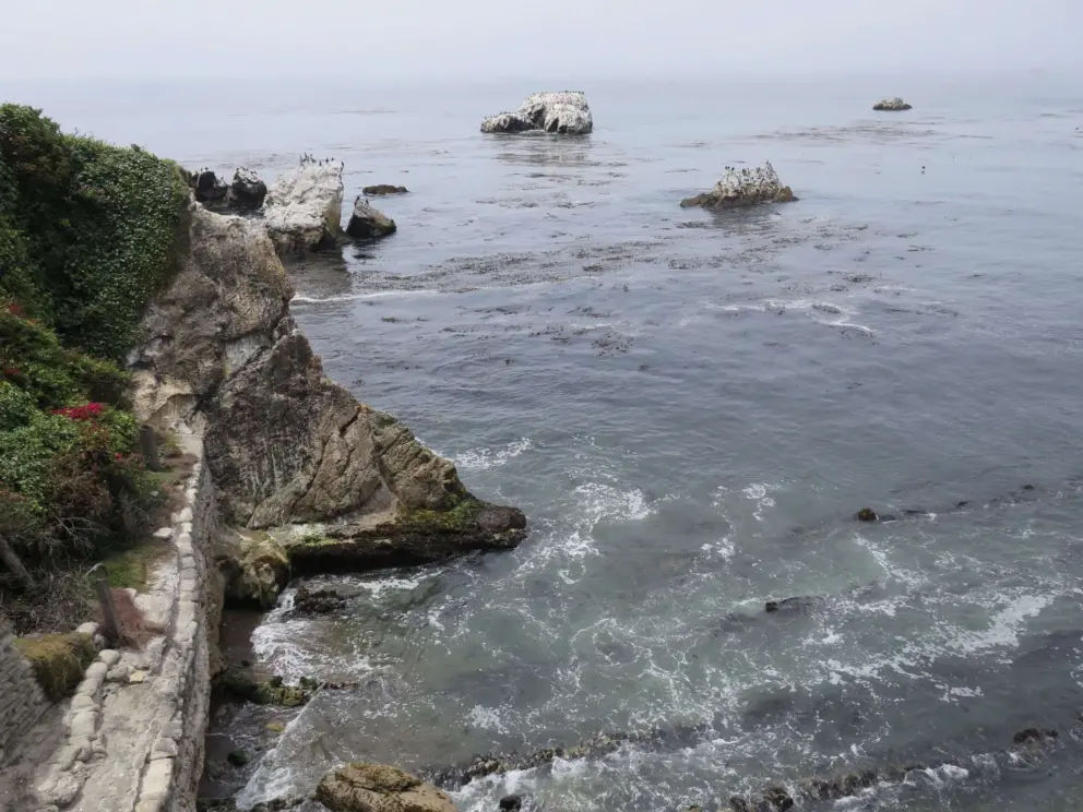 The coastline to the right of the property. 
