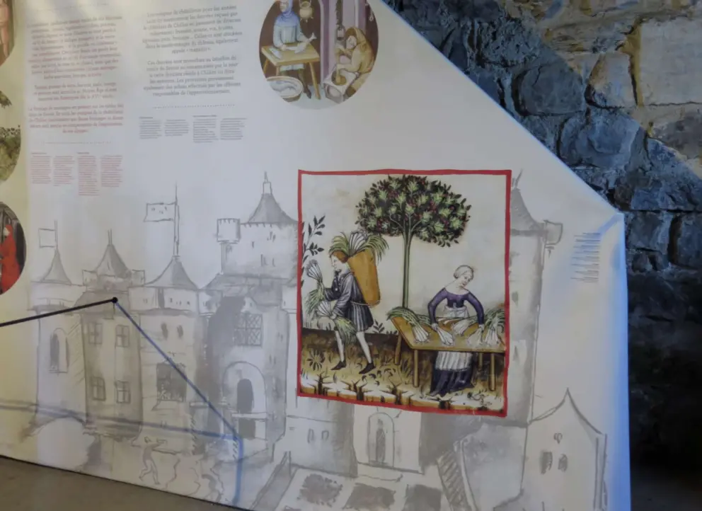 Description of food in medieval times. There were less than ten main vegetables, including parsnip, artichoke, cabbage, leek, spinach, onion, and turnip. 
