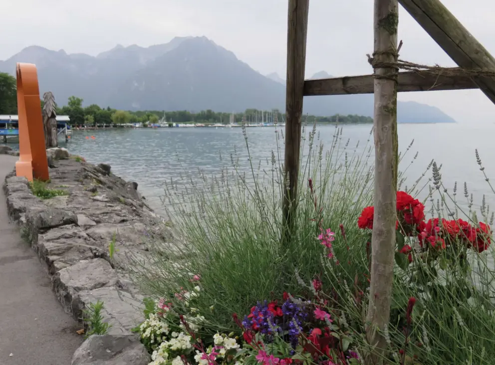 Flowers on the waterfront promenade. 