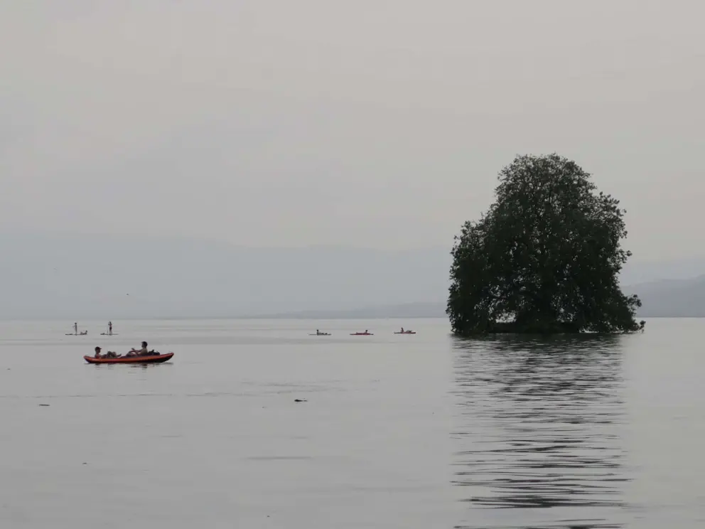 Island in the lake, and kayakers. 