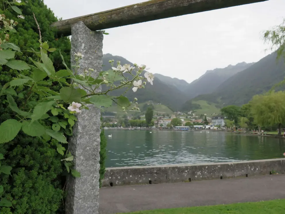 A stone arch and flowers with views behind. 