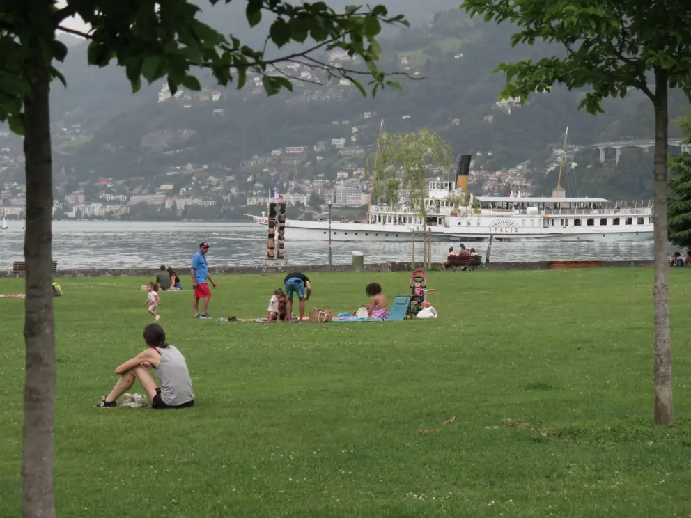 Sitting on the lawn. 