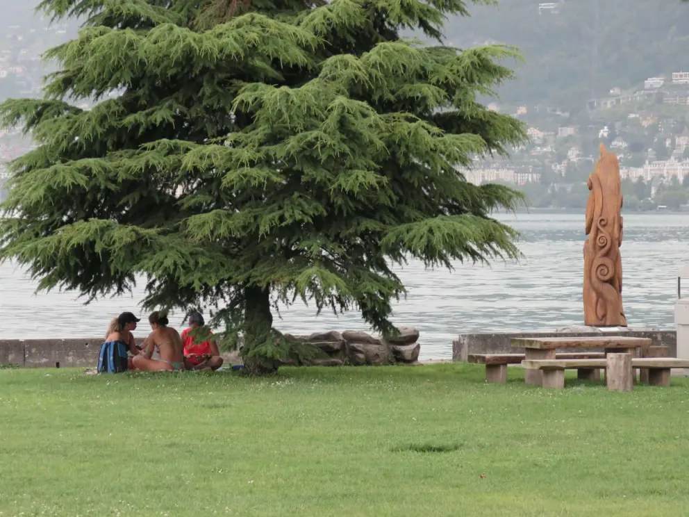 Sitting under a tree at the water's edge. 