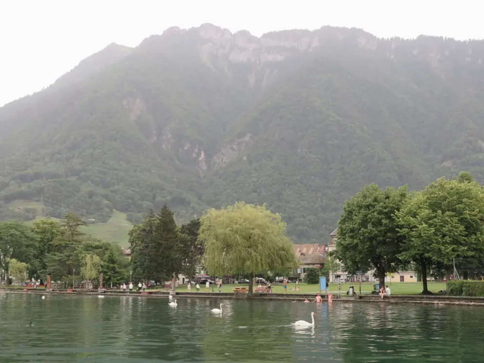 Looking at the high mountains from the marina. 