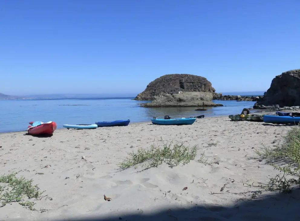 Looking at the kayaks and Whalers Island, from a shady spot on the sand. 