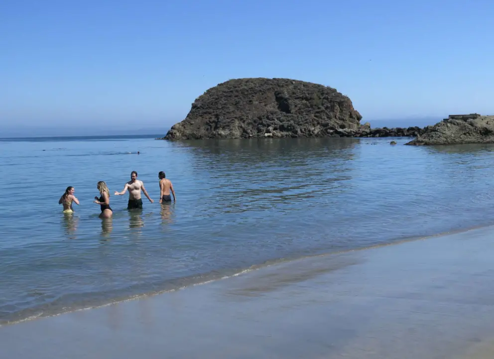 Swimmers bracing against the cold water. 
