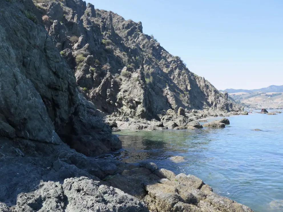 It's fun to explore the tidepools. 