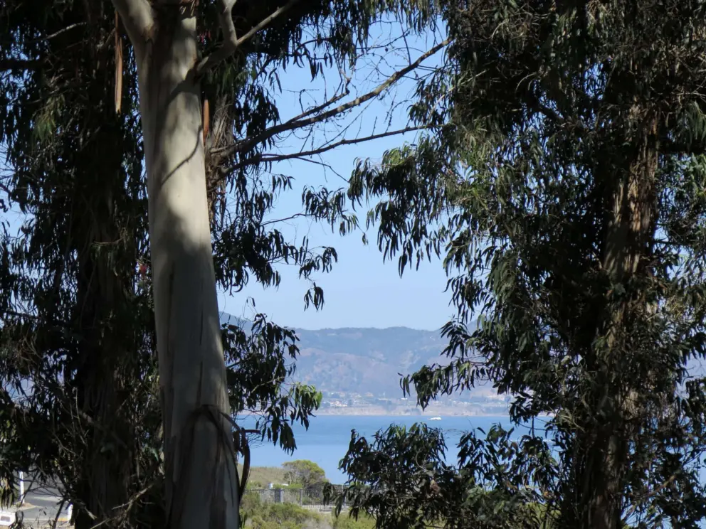 This looks so much like Australia!
