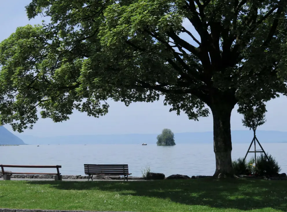 Island in the lake, as seen from the promenade. 